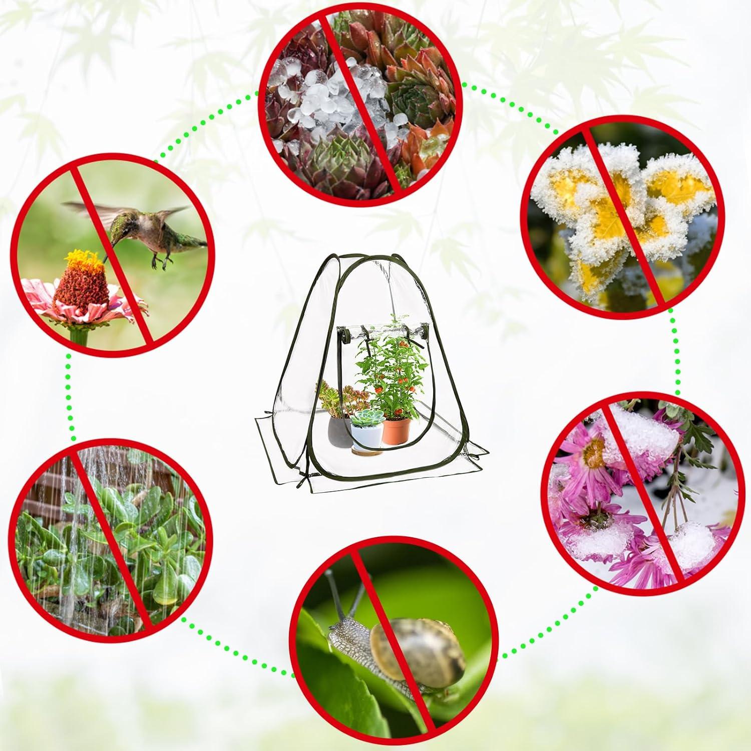 Mini Gewächshaus Überwinterungszelt Pflanzen Winter PVC Transparent