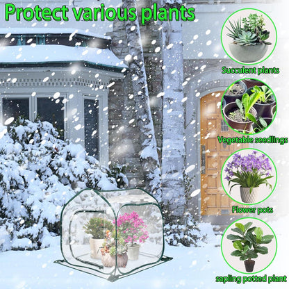Pop Up Gewächshaus Winter Zelt Frostschutz Transparent 80x80x80cm
