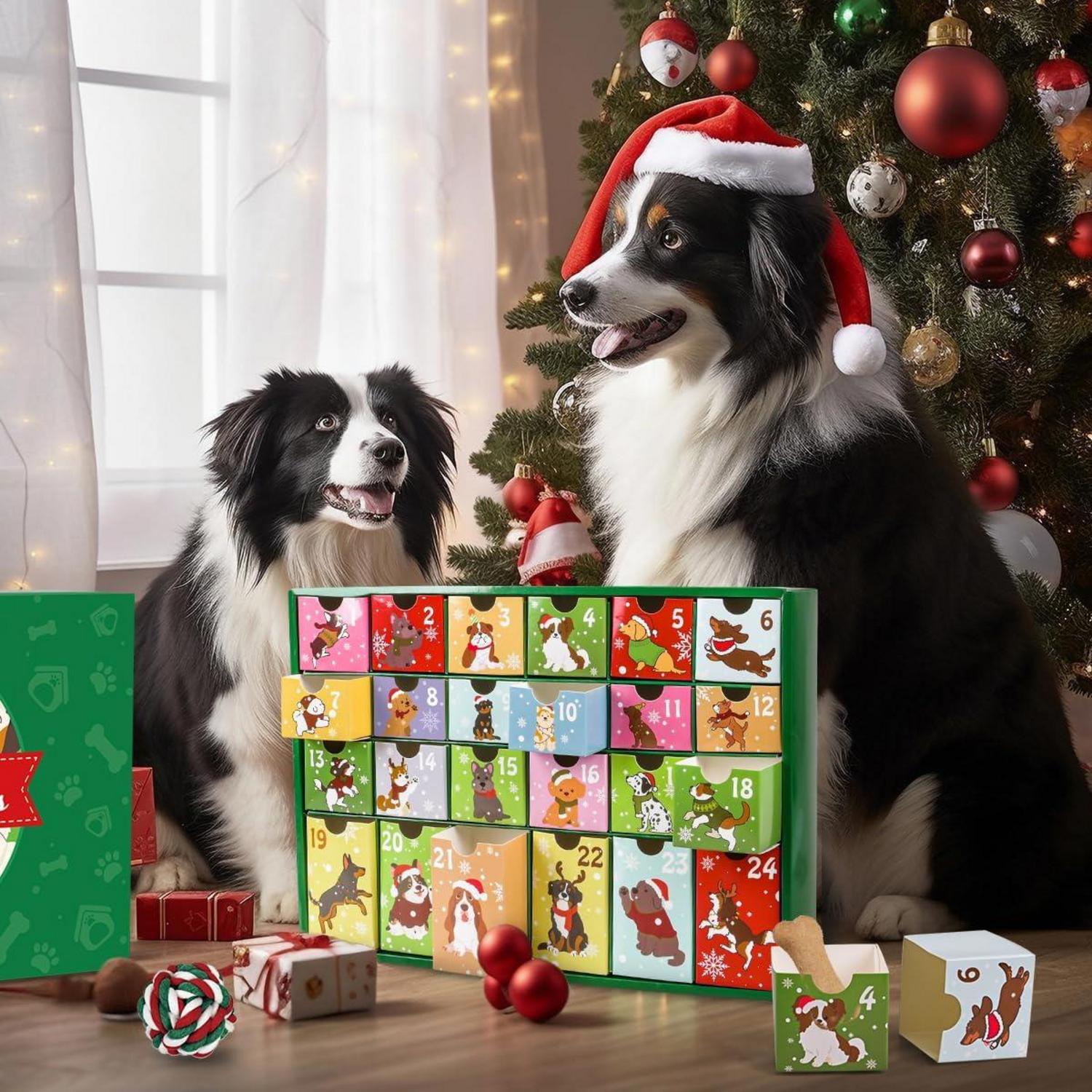 Hunde Adventskalender 2024 Leerer Weihnachtskalender für Haustiere