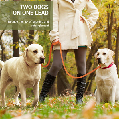 Verstellbare Hundeleine 3m, Doppelleine für Hunde bis 30kg, Orange