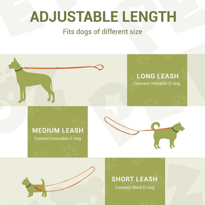 Verstellbare Hundeleine 3m, Doppelleine für Hunde bis 30kg, Orange