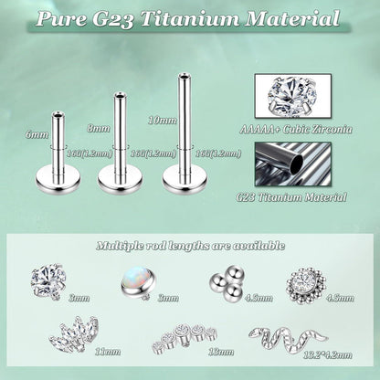 G23 Titan Piercing Set mit Innengewinde, Helix, Tragus, Lippen, Conch
