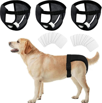 Hundewindeln Wiederverwendbare Läufigkeitshose Damenbinden