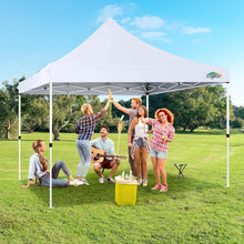 Faltpavillon 3x3m Wasserdicht mit Seitenwänden