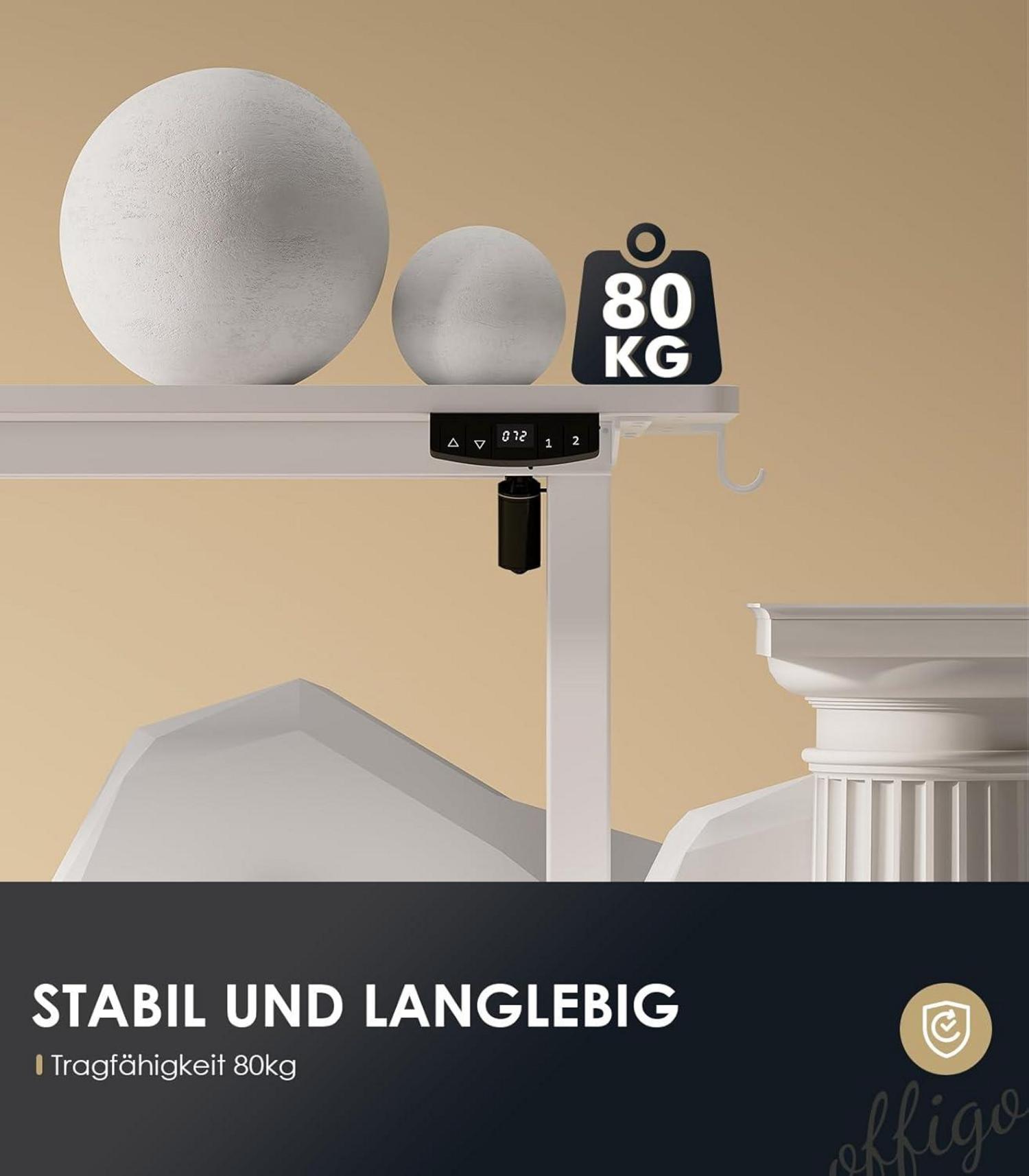 Höhenverstellbarer Schreibtisch 160cm Elektrisch USB Standing Desk