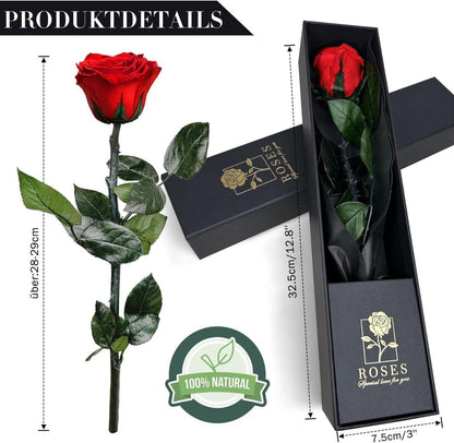 Ewige Rose in Geschenkbox Rote Infinity Rose für Frauen