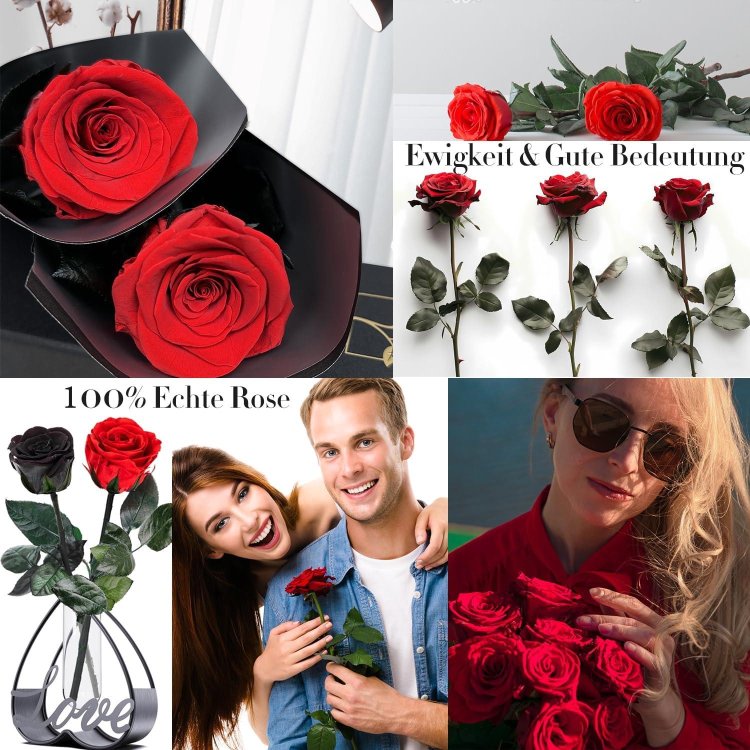 Infinity Rose Geschenkbox Ewige Rose Stiel Damen Freundin - Rot