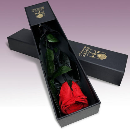 Infinity Rose Ewige Blume Geschenkbox Valentinstag Muttertag Rot