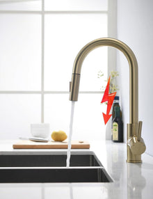 Moderne Niederdruck Küchenarmatur mit ausziehbarer Brause - Gold