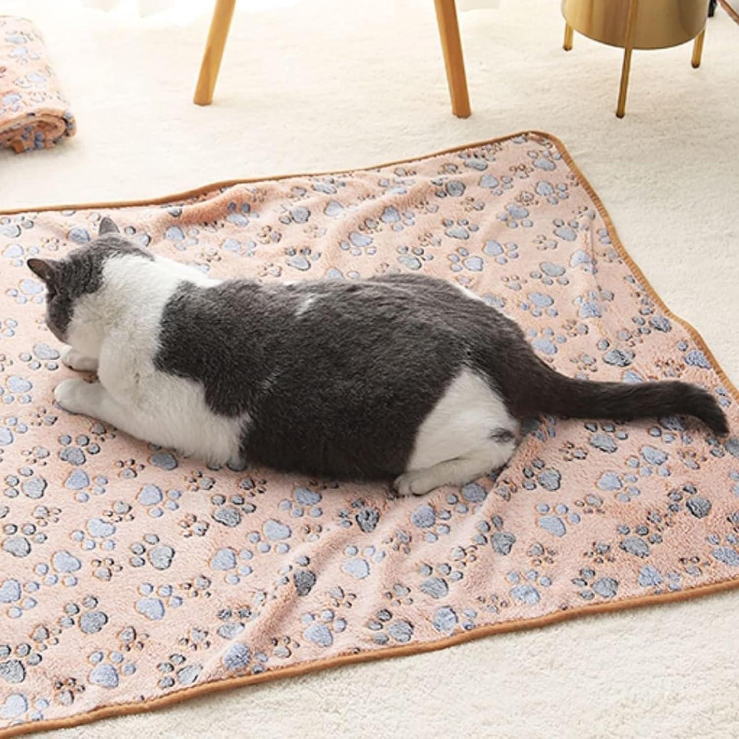 Kuscheldecke Katze Hund Set 3 flauschige Haustierdecken Paw Print
