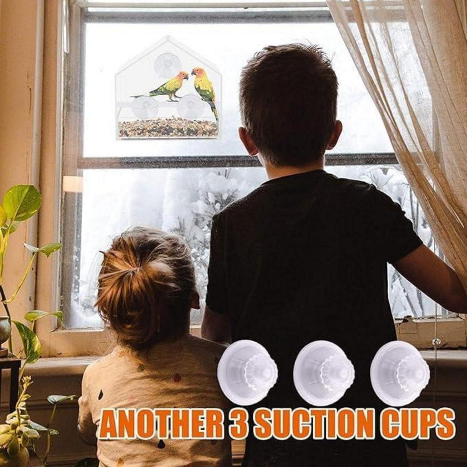 Vogelfutterstation für Fenster mit Extra starken Saugnäpfen und klares Haus-Design