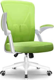Ergonomischer Bürostuhl mit Lendenwirbelstütze & grüner Rückenlehne