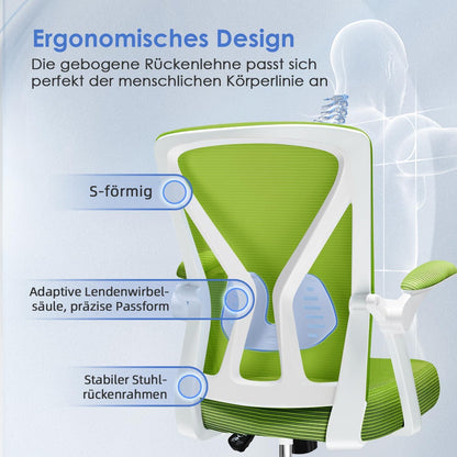 Ergonomischer Bürostuhl mit Lendenwirbelstütze, grün