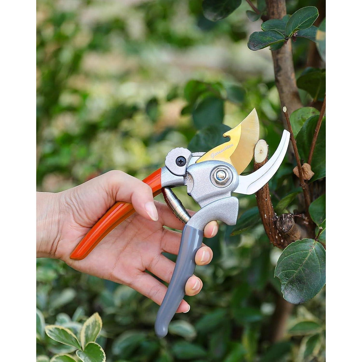 Ersatzfedern für Gartenscheren, 6er Set Edelstahl, 60mm