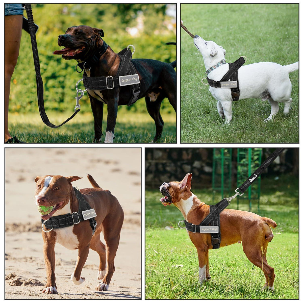 Hundegeschirr Fleece XL mit Leine – 360° Drehung & Reflektierend