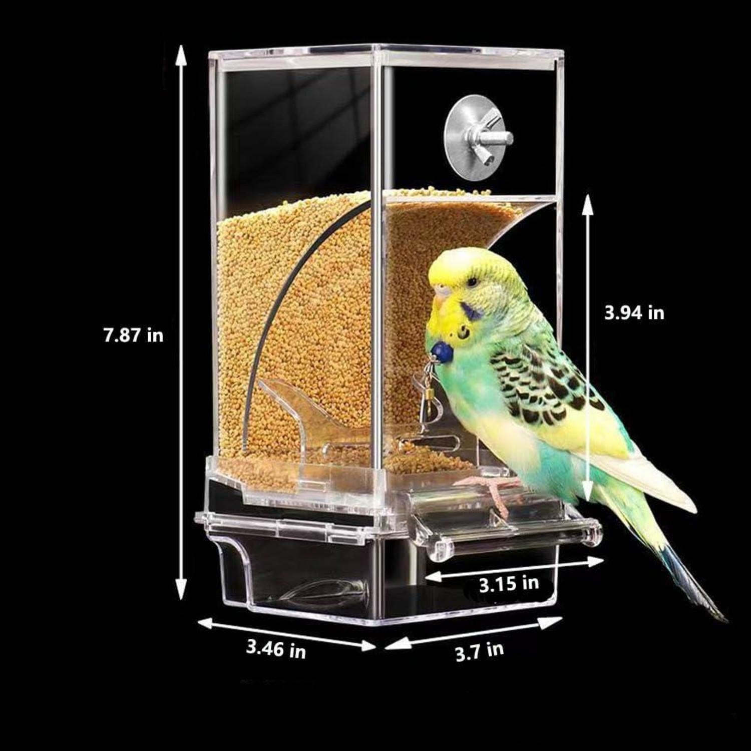 Automatischer Vogelfutterspender für Wellensittiche mit