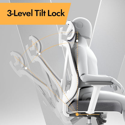 Ergonomischer Bürostuhl 3D Lendenstütze verstellbare Armlehnen