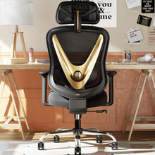 Ergonomischer Bürostuhl mit 3D Lendenstütze und verstellbarer