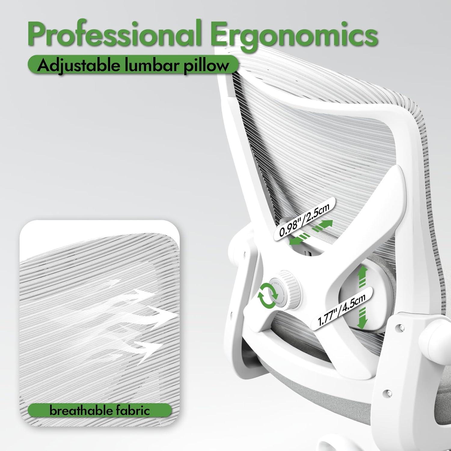 Ergonomischer Bürostuhl mit Lendenwirbelstütze, Grau