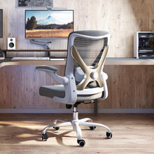 Ergonomischer Bürostuhl mit Lendenwirbelstütze, Mesh, Grau
