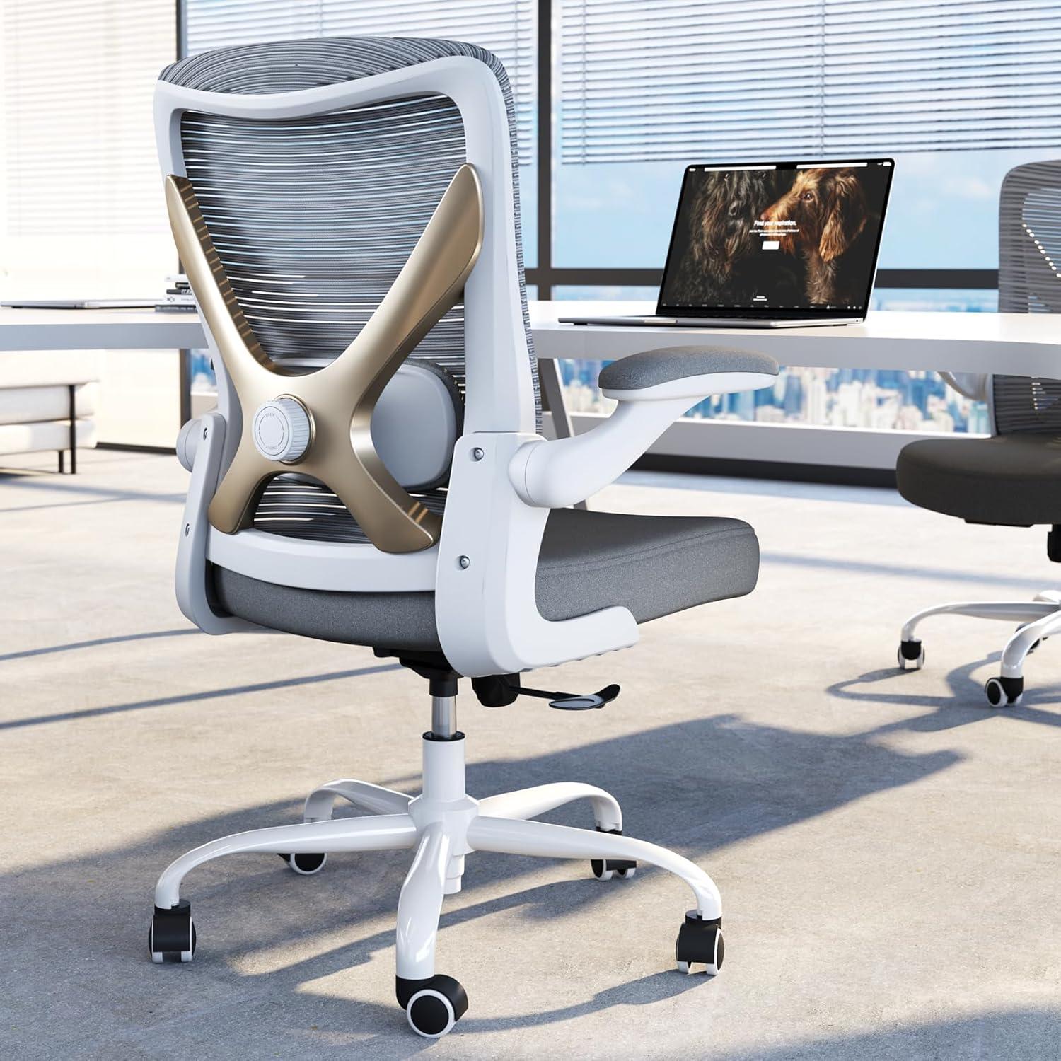 Ergonomischer Bürostuhl mit Lendenwirbelstütze, Gaming-Stuhl - Grau Gold