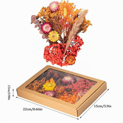 Trockenblumen Set Mini Bunt für DIY Tischdeko & Scrapbooking