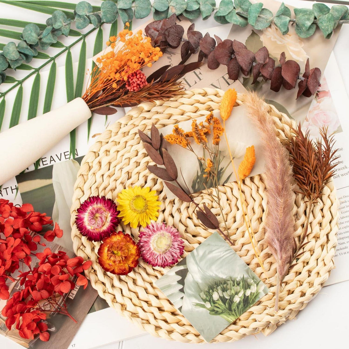 Trockenblumen Set Mini Bunt für DIY Tischdeko & Scrapbooking