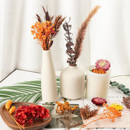 Trockenblumen Set Mini Bunt für DIY Tischdeko & Scrapbooking