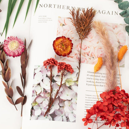 Trockenblumen Set Mini Bunt für DIY Tischdeko & Scrapbooking