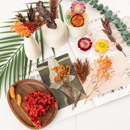 Trockenblumen Set Mini Bunt für DIY Tischdeko & Scrapbooking