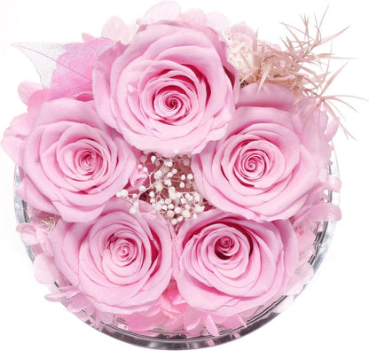 Ewige Rose Engel Glaskuppel Geschenkbox 5 Rosen Handgefertigt