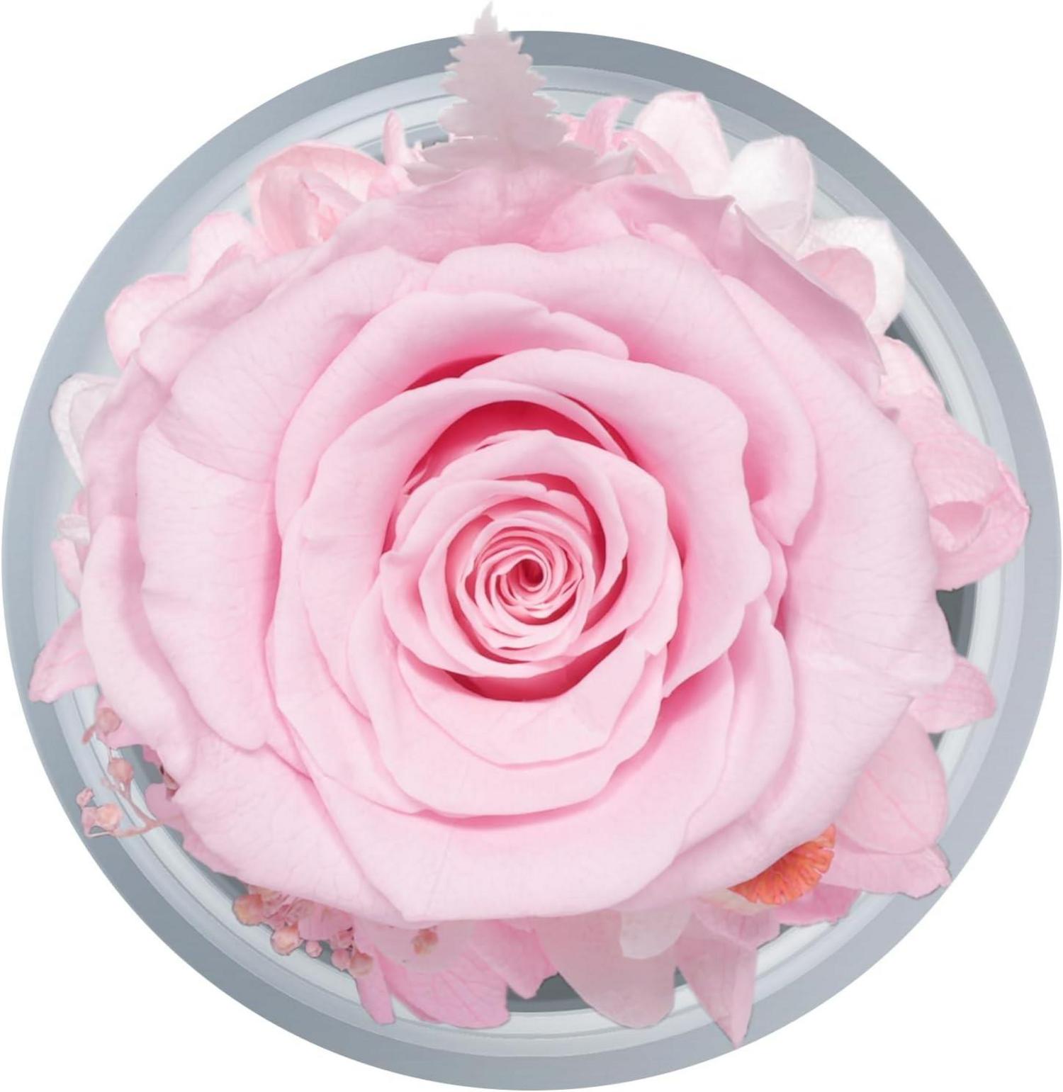 Ewige Rose Engel Figur Geschenkbox für Frauen, Muttertag, Weihnachten