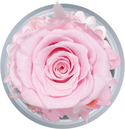 Ewige Rose Engel Figur Geschenkbox für Frauen, Muttertag, Weihnachten