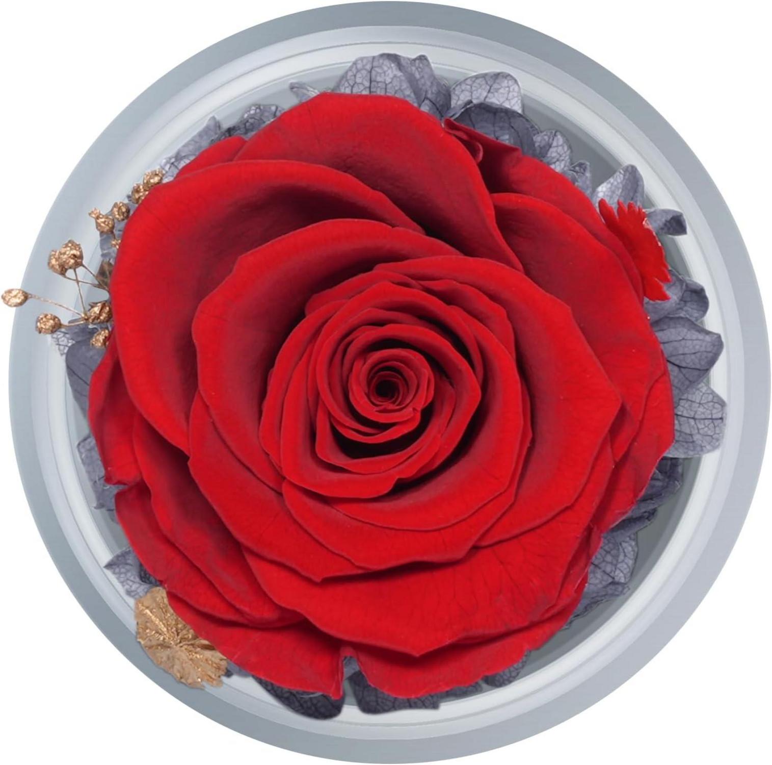 Ewige Rose Engel Geschenkbox mit Glasdom & Grußkarte
