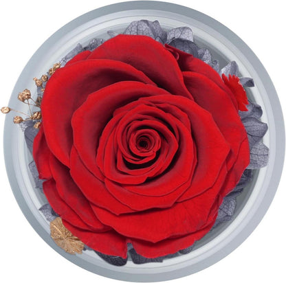 Ewige Rose Engel Geschenkbox mit Glasdom & Grußkarte