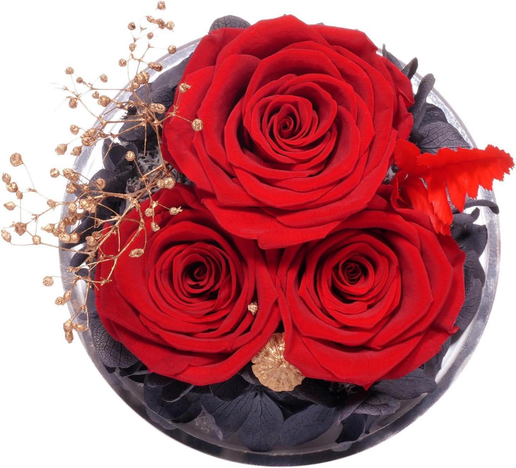 Ewige Rose Engel Geschenkbox 3 Ewige Rose im Glas Engel Rot