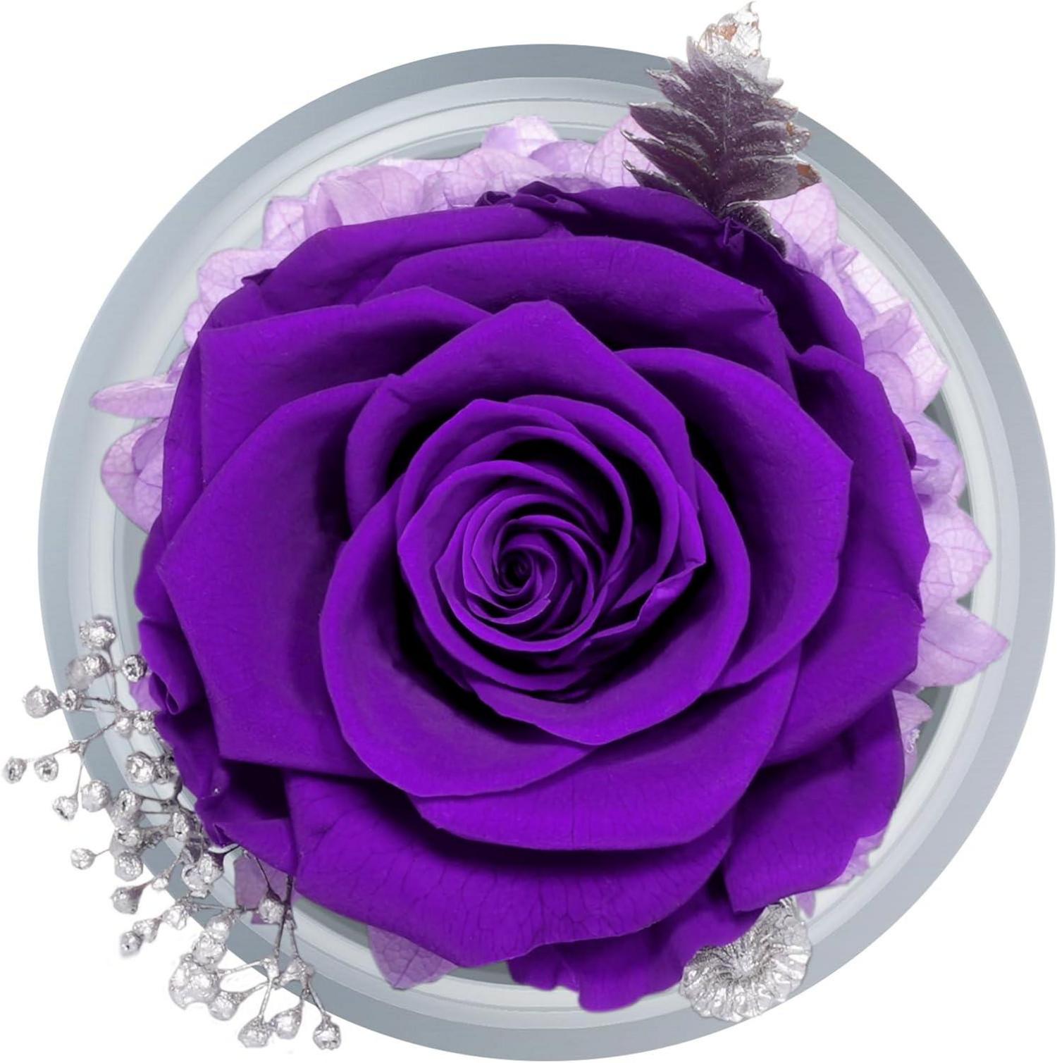 Ewige Rose Engel Geschenke Weihnachten Frauen Mutter Oma Rose991