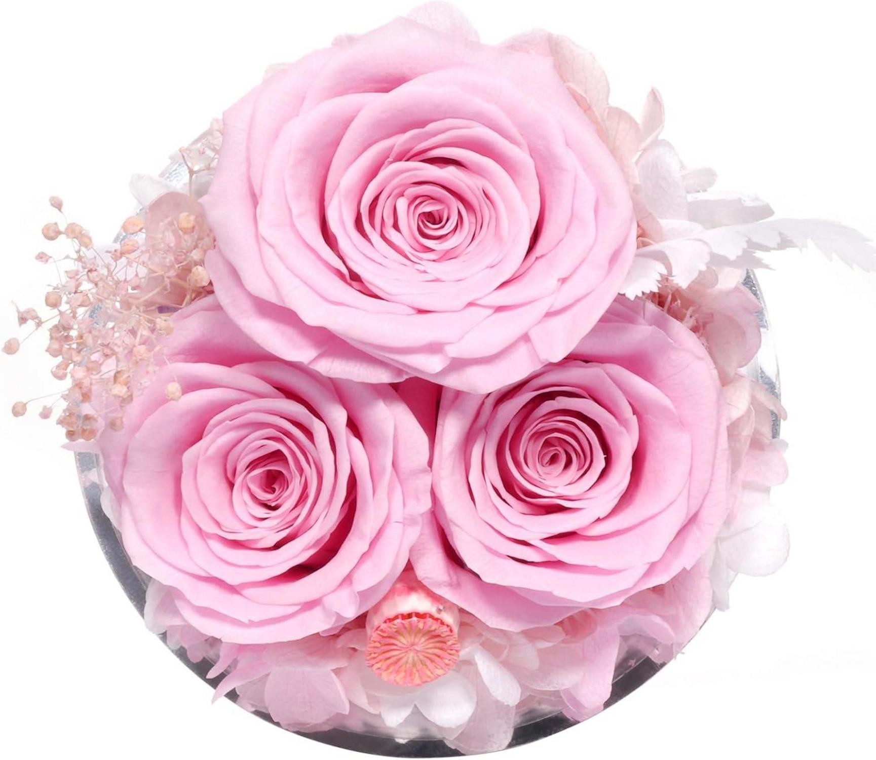 Sunia Ewige Rose Engel Geschenkbox 3 Ewige Rose Glas Engel