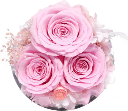 Sunia Ewige Rose Engel Geschenkbox 3 Ewige Rose Glas Engel