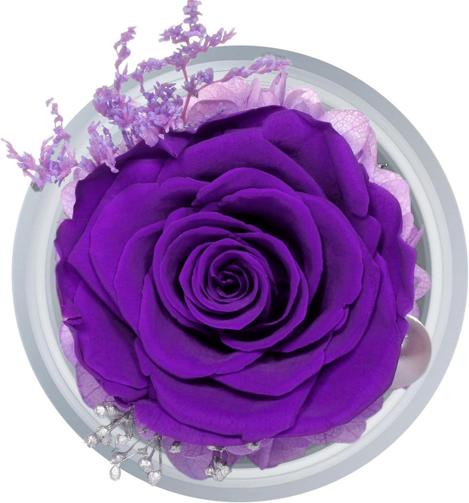 Ewige Rose Engel Mutter Tochter Statue Geschenkbox Glaskuppel