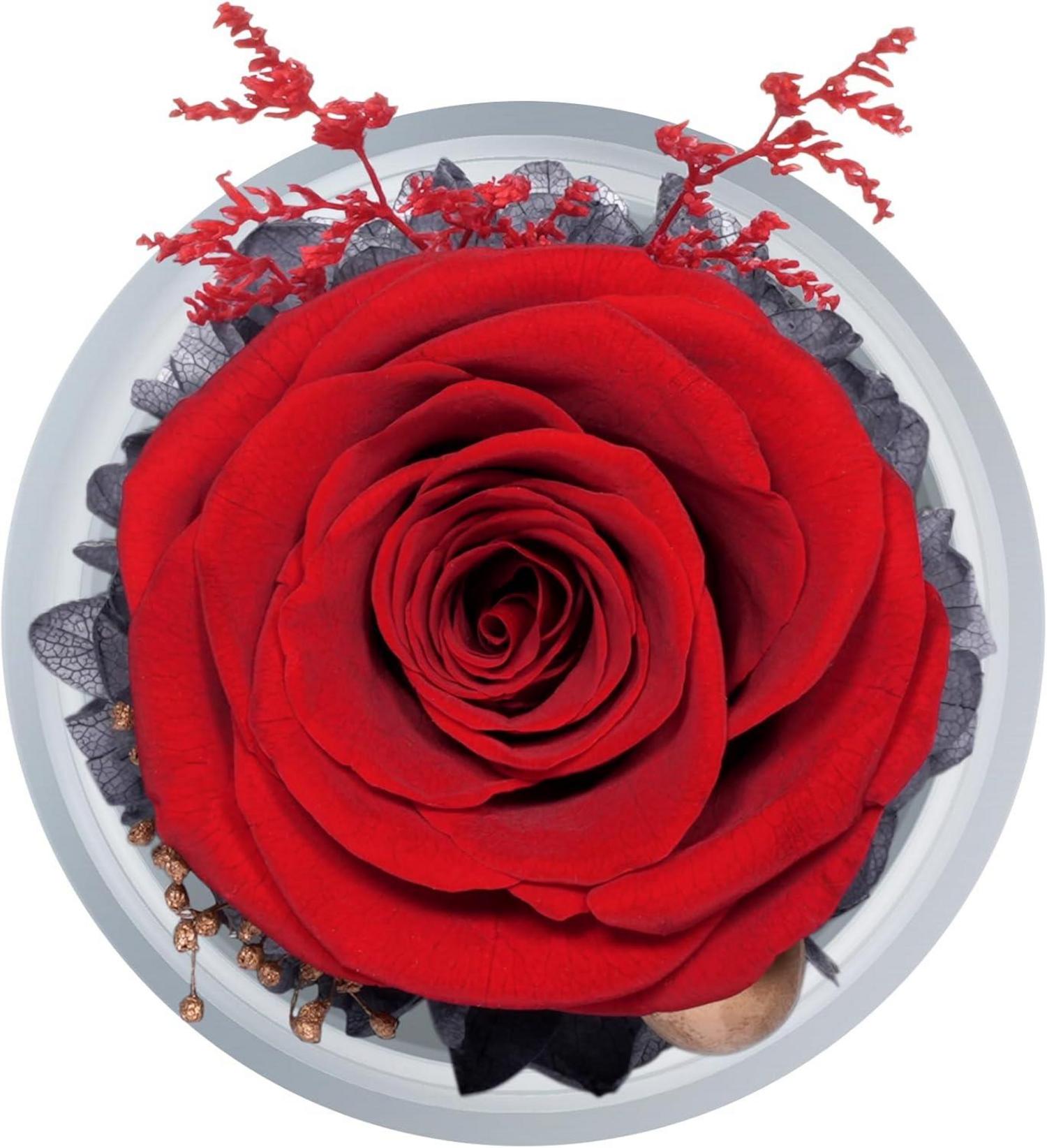 Ewige Rose Engel Figur Geschenkbox Mutter Tochter Glasskuppel
