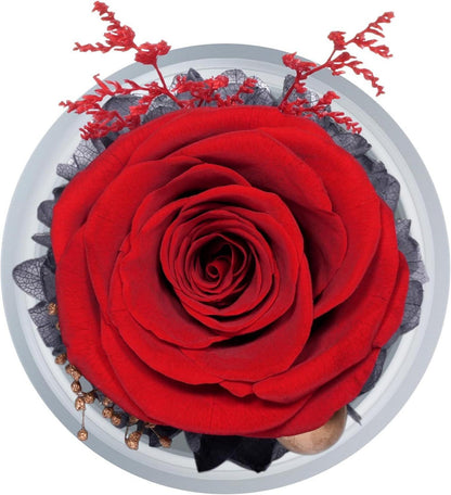 Ewige Rose Engel Figur Geschenkbox Mutter Tochter Glasskuppel