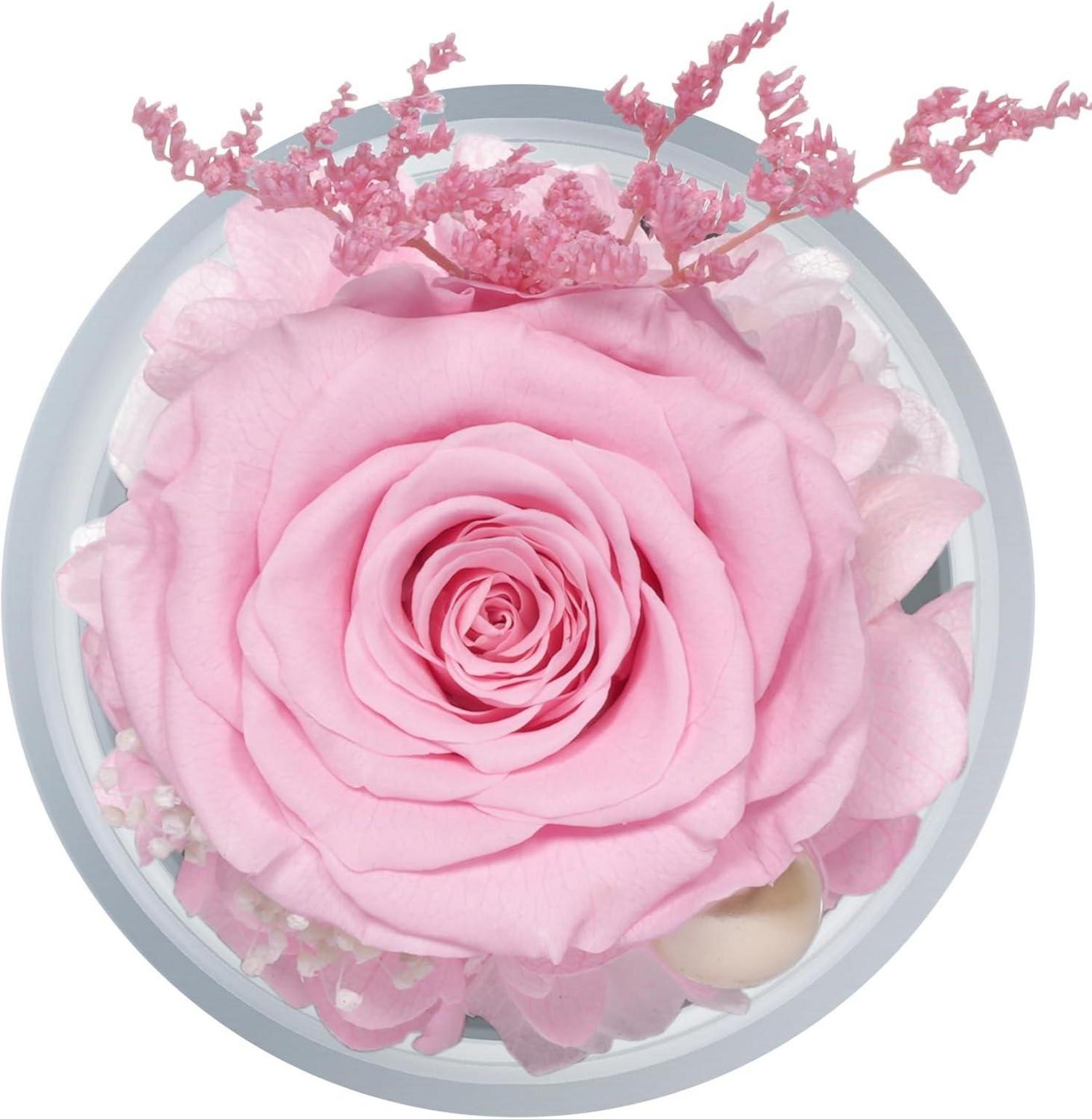 Ewige Rose Engel Figur Mutter Tochter Geschenkbox
