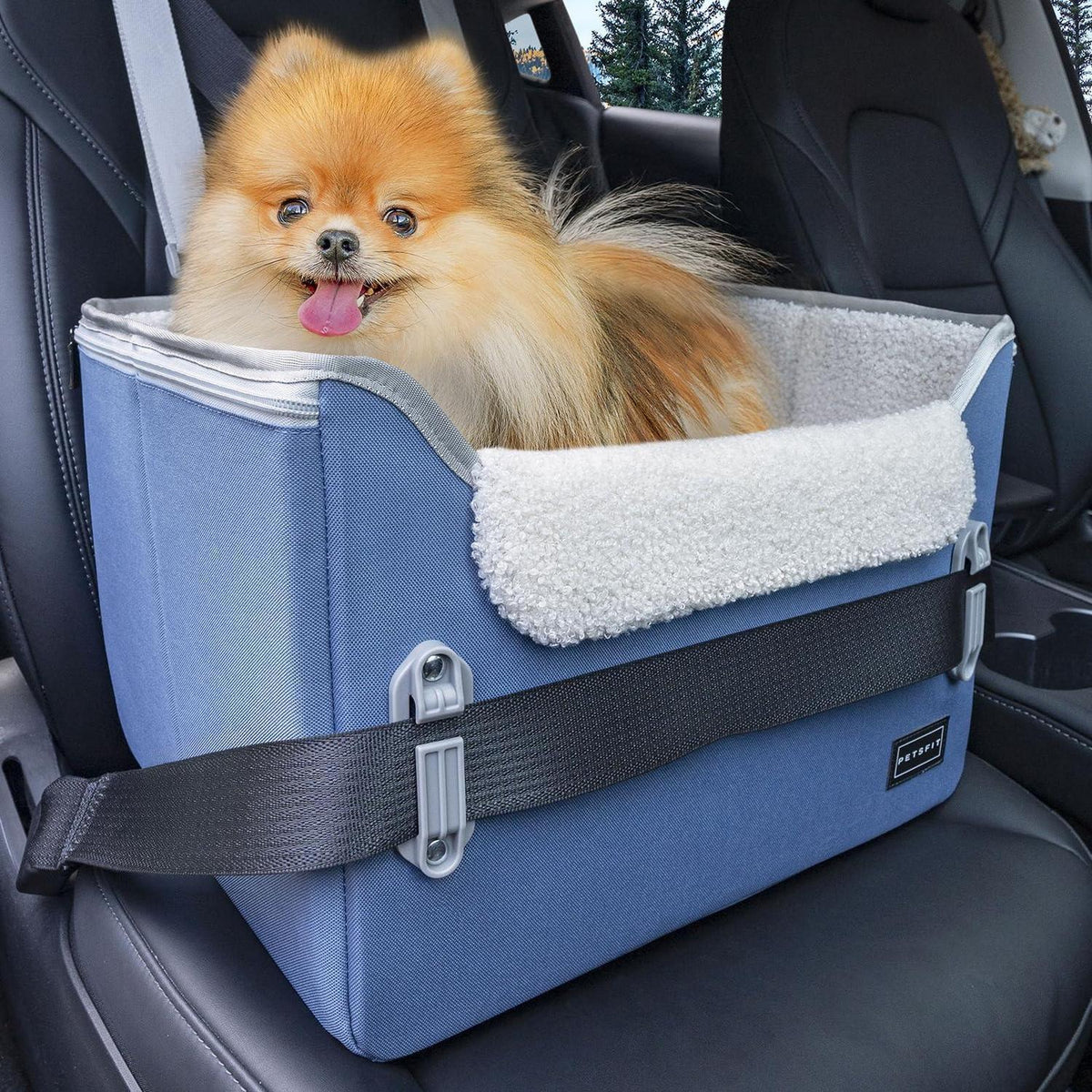Hunde-Sitzerhöhung Blau (S) – Sicher & Komfortabel für kleine Hunde