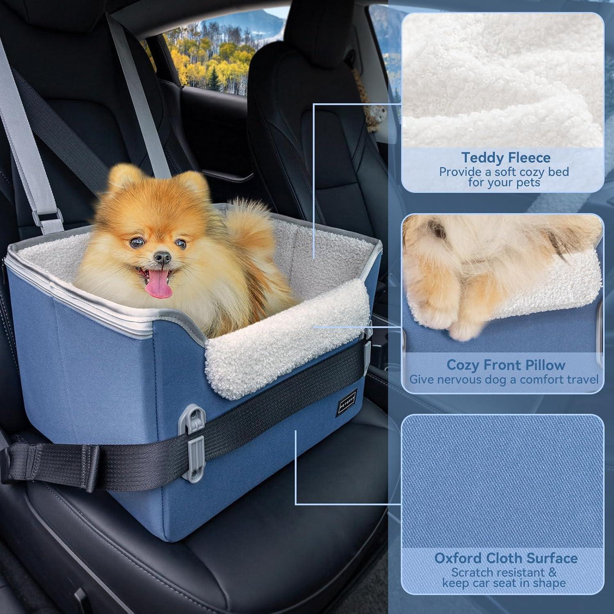 Hunde-Sitzerhöhung Blau (S) – Sicher & Komfortabel für kleine Hunde