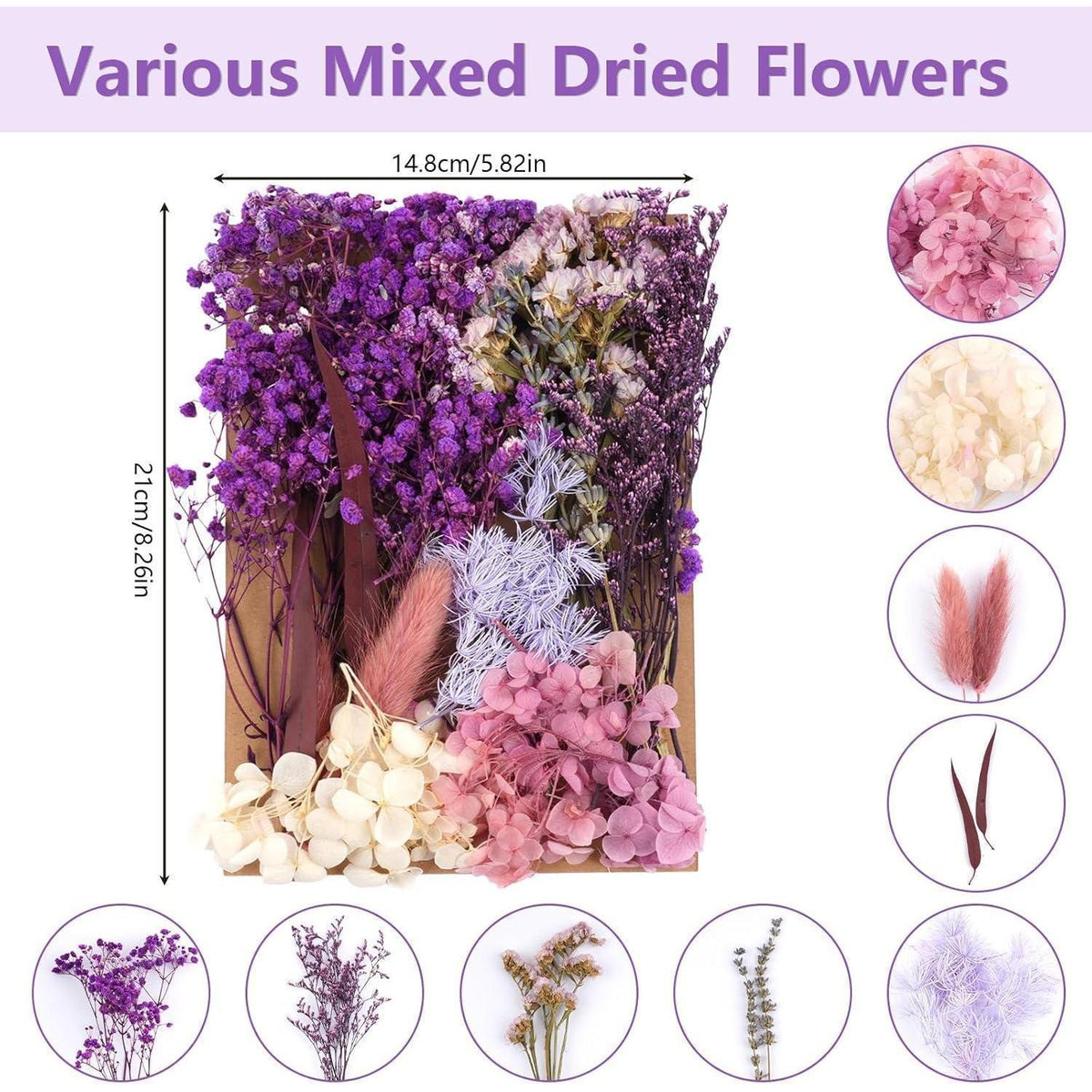Trockenblumen Set Violett für DIY & Wohndeko
