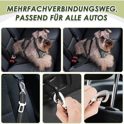Hundegeschirr Auto Sicherheitsgurt Set Grau S