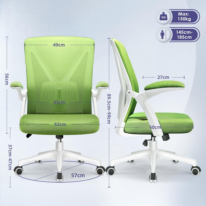 Ergonomischer Bürostuhl mit Einstellbarer Lendenstütze, Grün
