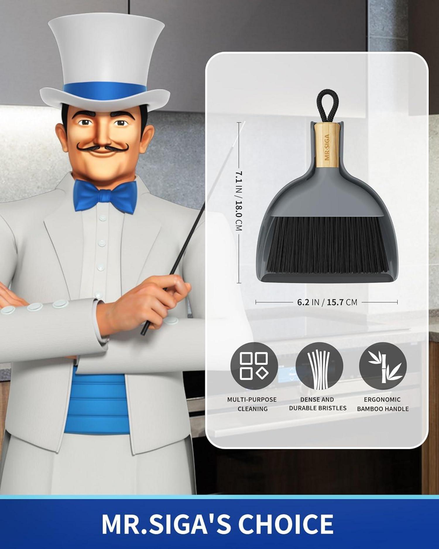 MR.SIGA Mini Kehrschaufel Bürste Set Bambusgriff Grau