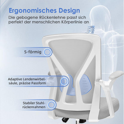 Ergonomischer Bürostuhl mit Lendenwirbelstütze, Grau, Atmungsaktive Rückenlehne, Verstellbare Armlehnen